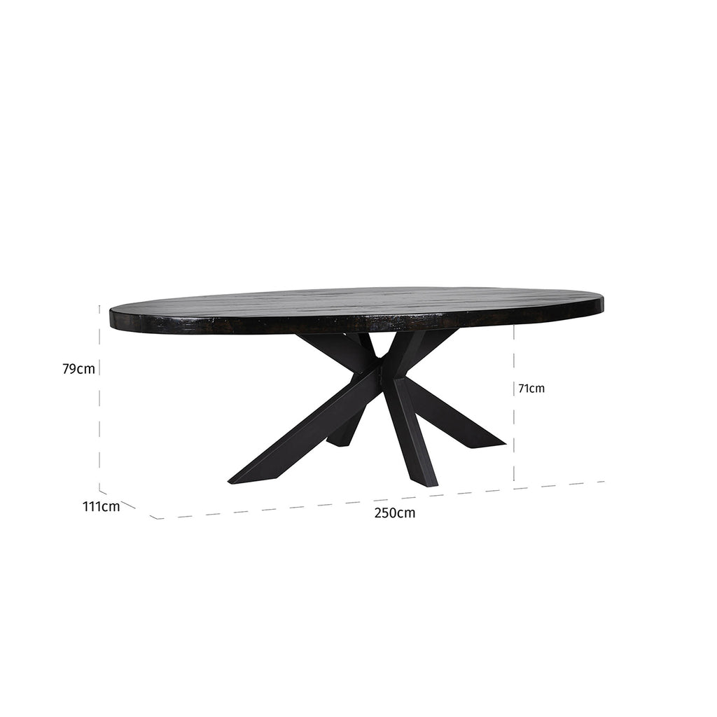 Poot Industrie-Spinne (155x100)